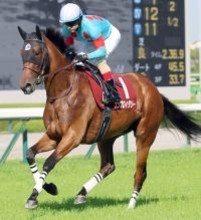 【注目馬動向】エンブロイダリーが引き続きルメール騎手とのコンビでヴィクトリアマイルへ