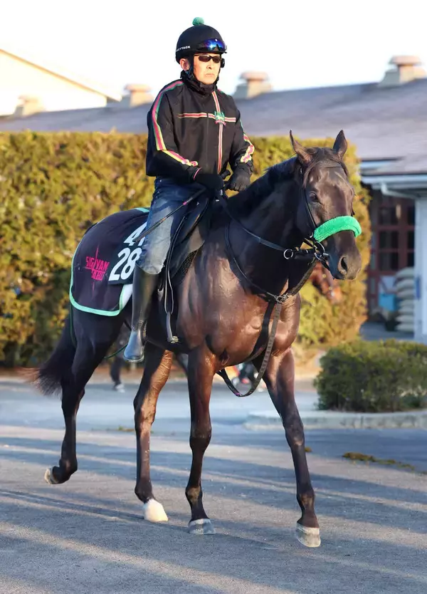 【京都新聞杯】マカヒキのおいサヴォアフェールがダービー出走狙う　陣営「背中がしなやかで柔らかい」