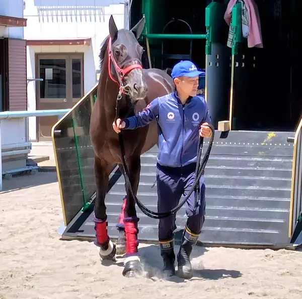 【ヴィクトリアＭ】渋滞もなくスムーズ！ケリフレッドアスクが東京競馬場に到着　陣営「広い東京コースはいい」