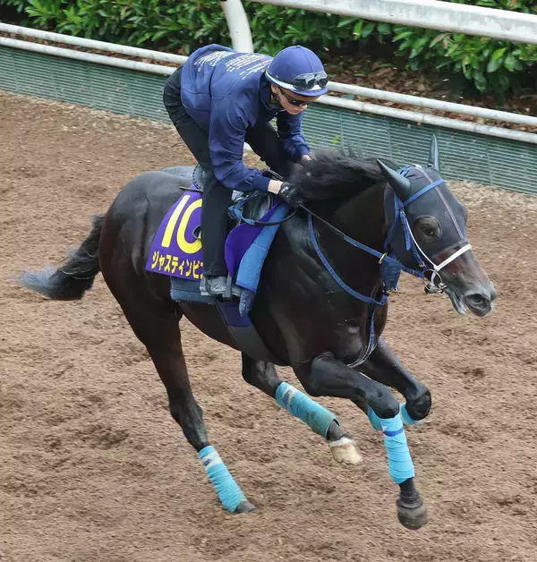 【日本ダービー・金曜気配】骨折明け初戦のジャスティンビスタは坂路で軽快　吉岡調教師「調教でできることは全部やりました」