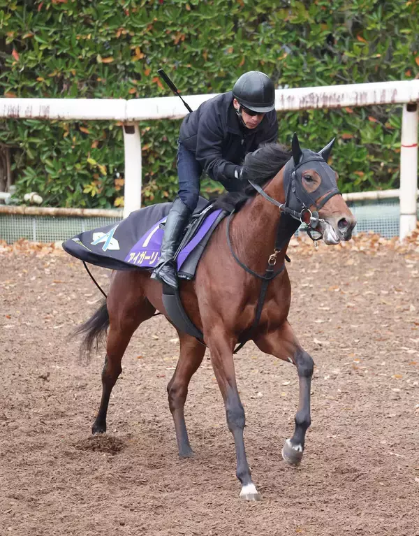 【朝日杯ＦＳ】武豊騎手が騎乗予定だったアイガーリーはフレグモーネを発症したため回避　放牧へ