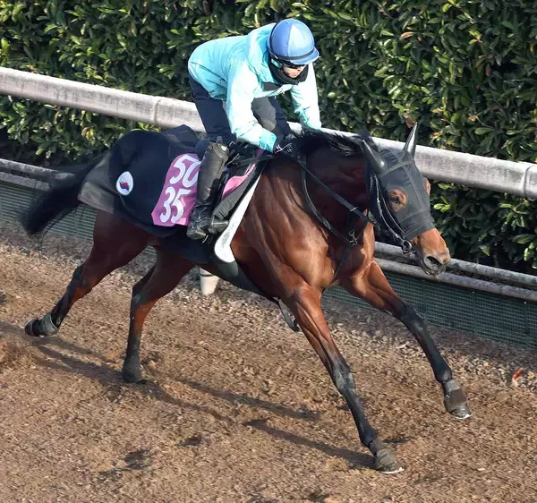 【フェアリーＳ】こうやまき賞２着のアーリーハーベストは時計以上の勢い　小林調教師「前走よりいい状態」