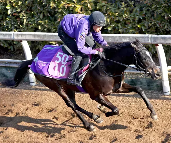 【エルフィンＳ】２連勝狙う良血アドマイヤシュラは上々の雰囲気 　陣営「ここは通過してほしいですね」