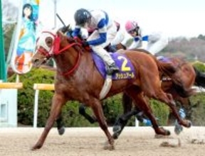 ３連単２０６万円超！「絶対当てれん」「こりゃダメです」佐賀の名物レース爆荒れ決着にＳＮＳ仰天　たんぽぽ賞