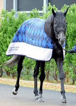 【注目馬動向】皐月賞１２着のゾロアストロは日本ダービーへ　きさらぎ賞の覇者