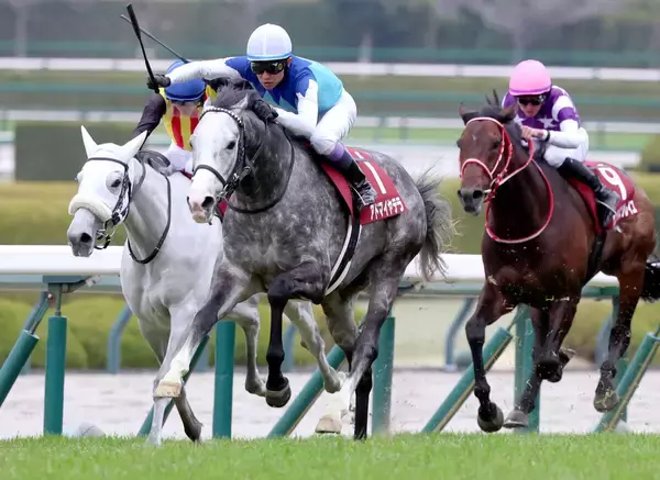 【天皇賞・春】武豊騎手が史上最多９勝目へ　阪神大賞典Ｖのアドマイヤテラで参戦　「本当の強さが求められるレース」