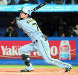 「【阪神】中野拓夢が６回に代打で貴重な適時打「最高の結果になった」２８日に自打球で途中交代」の画像1