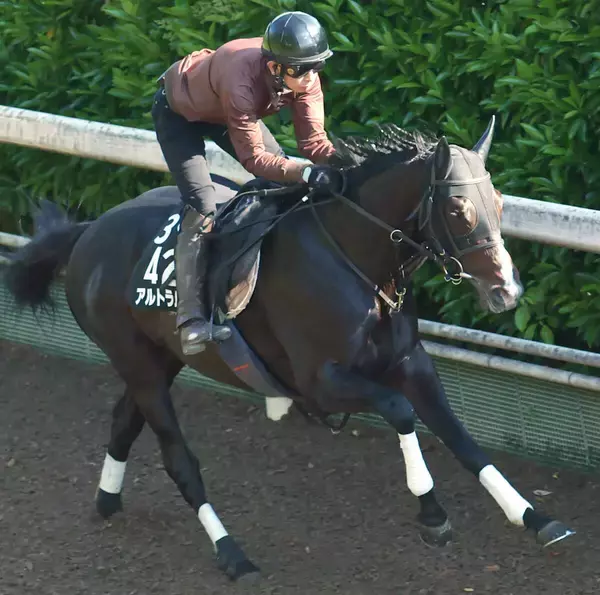 【日本ダービー・２週前】アルトラムスが皐月賞１８着からの巻き返しへ上々の気配　野中調教師「リズム良く走れていた」