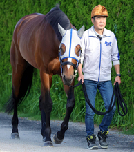 【宝塚記念・金曜気配】武豊騎手と臨むメイショウタバルは坂路で悠然　石橋調教師「ずいぶん折り合いが付くようになったな」