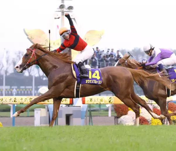 ０８年の菊花賞馬　２１歳のオウケンブルースリが免疫系の疾患で療養中　「獣医師と相談しながら、新しい治療を進めています」