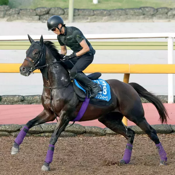 【注目馬動向】ダノンフィーゴはオーバルスプリントで巻き返しへ　ピエマンソンはペルセウスＳに向かう