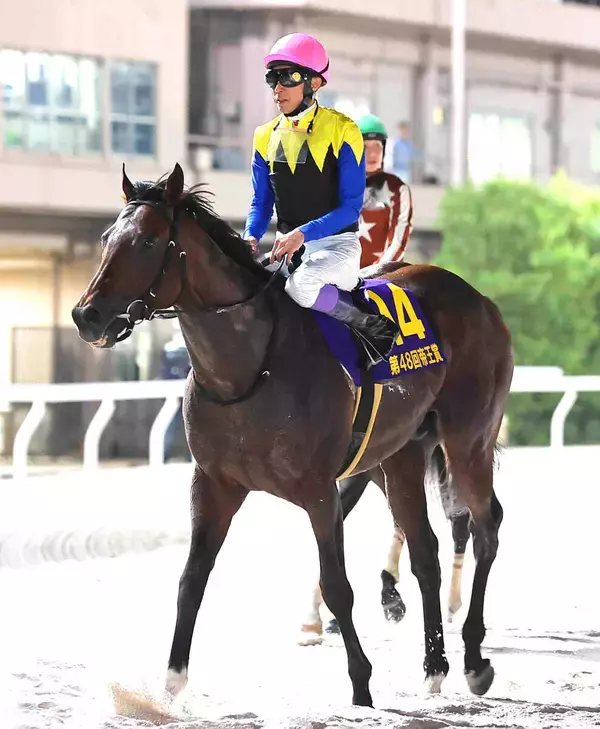 武豊騎手とコンビでジャパンダートダービーＶノットゥルノが種牡馬入り　ＪＲＡが競走馬登録抹消を発表