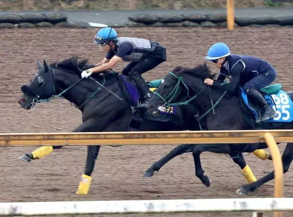 【天皇賞・秋・１週前】毎日王冠ＶのセイウンハーデスがＣＷコースで躍動　幸英明騎手「動きは変わらず良かったです」　