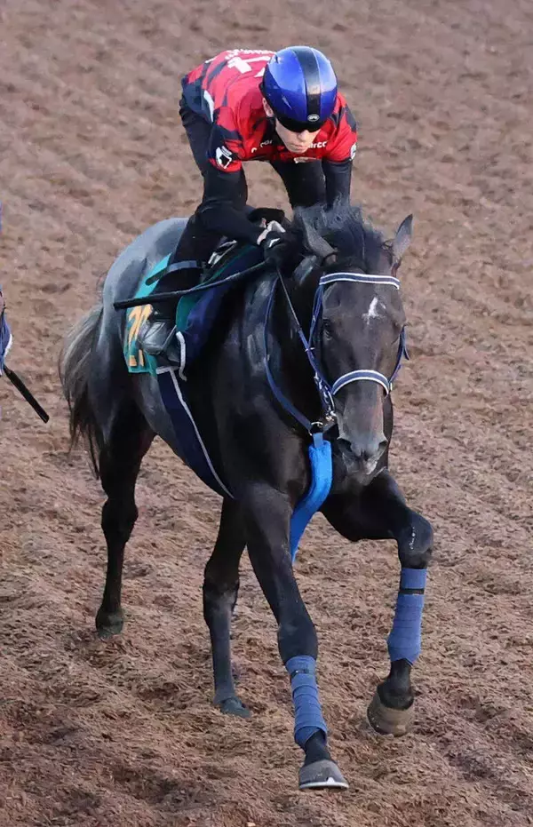 【朝日杯ＦＳ１週前】リアライズシリウスは遅れもタイムは及第点以上　津村明秀騎手「これで良くなってくれる」