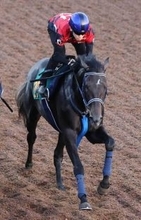 【朝日杯ＦＳ１週前】リアライズシリウスは遅れもタイムは及第点以上　津村明秀騎手「これで良くなってくれる」