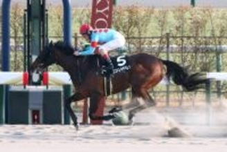 【京都１１Ｒ・羅生門Ｓ】「楽勝でした」ルメール騎手　３番人気エストレヤデベレンが圧勝でオープン入り　