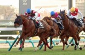 「おじさんマジで…」トップハンデの９歳馬激走にネット仰天！３連単５８万円超演出はウイングレイテスト