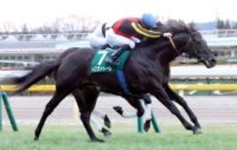 【東京新聞杯】ルメール騎手が８年連続の挑戦で初勝利！トロヴァトーレが鮮やか抜け出し重賞２勝目