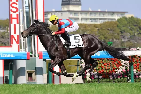 ５・２億円馬２戦目での勝利にネット歓喜「ダービー行けるか？」「菊花賞で見たい」　超高額馬のサガルマータ