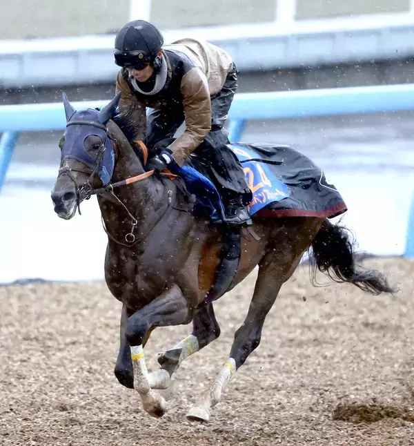 【中山記念】重賞２勝の中山の舞台に替わって本領発揮だ！レーベンスティール　田中博調教師「今回も落ち着きはカギ」