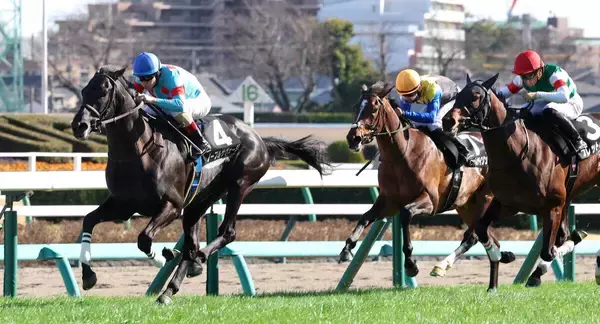 【中山９Ｒ・水仙賞】ルメール騎手が太鼓判！２連勝ノーブルサヴェージに「２４００メートルでも大丈夫」　