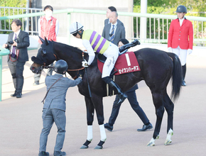 【中山記念】１番人気セイウンハーデス逃げてスタンド沸かせるも１２着　幸英明騎手「もまれるのが嫌だったので…」
