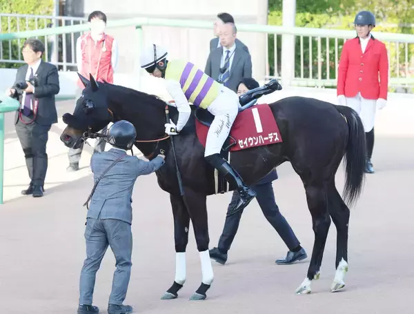 【中山記念】１番人気セイウンハーデス逃げてスタンド沸かせるも１２着　幸英明騎手「もまれるのが嫌だったので…」