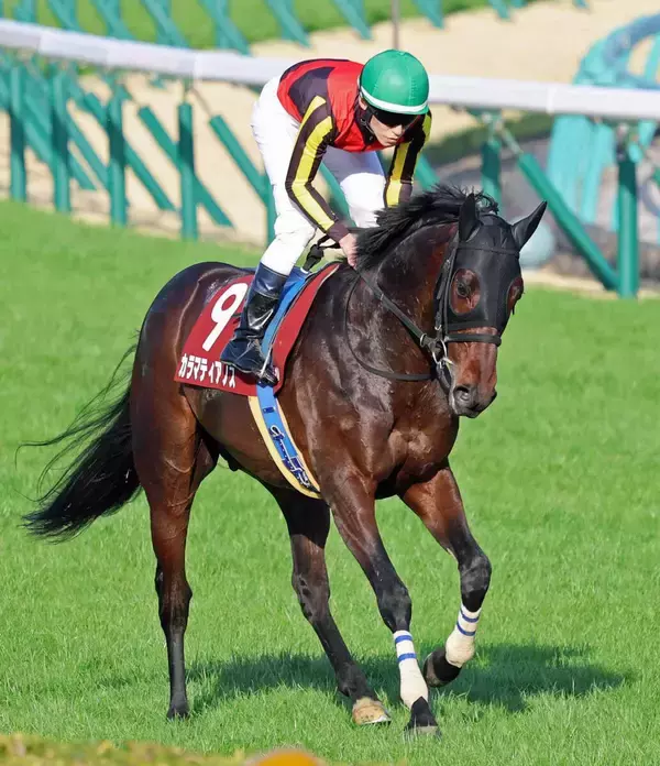 【中山記念】「枠順が逆だったら…」惜敗２着のカラマティアノスに悔やむ津村明秀騎手「もっと際どかった」