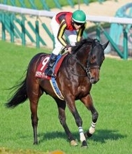 【中山記念】惜敗２着のカラマティアノスに悔やむ津村明秀騎手「枠順が逆だったら、もっと際どかった」