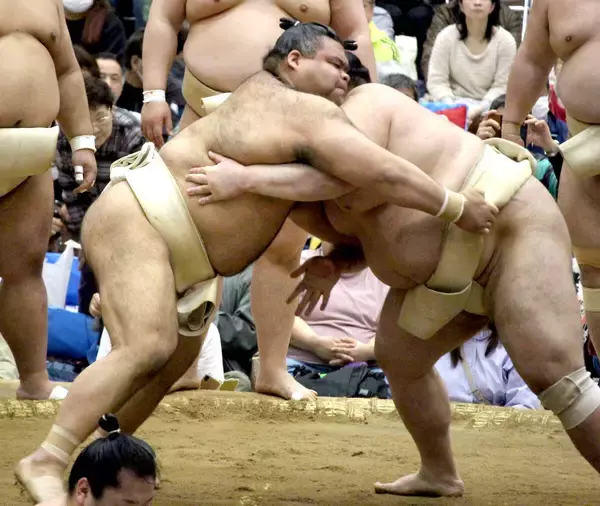 関脇・高安、春巡業の皆勤に意欲「腰の調子がいい。何とか完走したい」