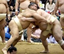 関脇・高安、春巡業の皆勤に意欲「腰の調子がいい。何とか完走したい」