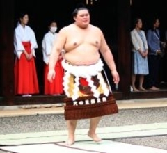 大の里が春巡業を離脱へ　先場所は左肩痛で途中休場