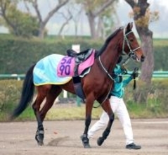 【フローラＳ】東京２０００で２連勝中！ファムクラジューズは闘争心マックス　黒岩調教師「気持ちで頑張ってくれる」