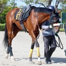 【注目馬動向】青葉賞２着で日本ダービーの出走権利を獲得したタイダルロックに左前脚骨折の疑い　７日に検査へ