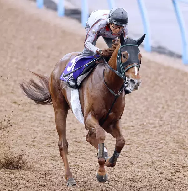 【安田記念】シャンパンカラーは１週前に田中剛調教師が騎乗しラスト１０秒８　２３年ＮＨＫマイルＣ以来の勝利へ