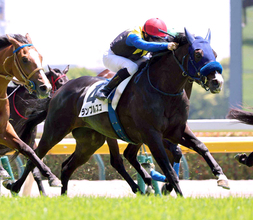 【２９日の注目・新潟９Ｒ】１億５０００万円馬にＧ１馬の弟など　良血３歳馬が秋の飛躍をかけ激突