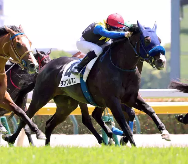 【２９日の注目・新潟９Ｒ】１億５０００万円馬にＧ１馬の弟など　良血３歳馬が秋の飛躍をかけ激突