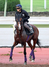 【毎日王冠】アドマイヤクワッズが凱旋門賞挑戦の僚馬アドマイヤテラに吉報届ける　陣営「春よりもバランスが良くなっている」