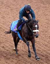 【チャンピオンズＣ】シックスペンスは早々に失速１１着　ルメール騎手「もう少しリラックスしてほしい」