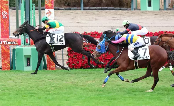 ホープフルＳ当日の中山芝は土が飛ぶコンディションも　丹内祐次騎手「そんな悪くない。フラットだと思います」