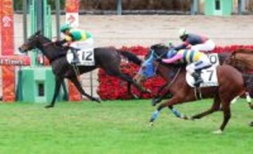 ホープフルＳ当日の中山芝は土が飛ぶコンディションも　丹内祐次騎手「そんな悪くない。フラットだと思います」