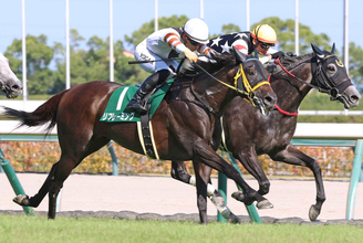 キングヘイローの最後の現役産駒リフレーミングが競走馬登録を抹消　今後は種牡馬もけい養先は未定