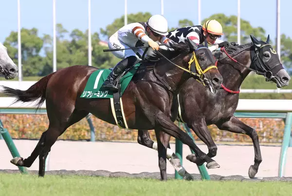 キングヘイローの最後の現役産駒リフレーミングが競走馬登録を抹消　今後は種牡馬もけい養先は未定