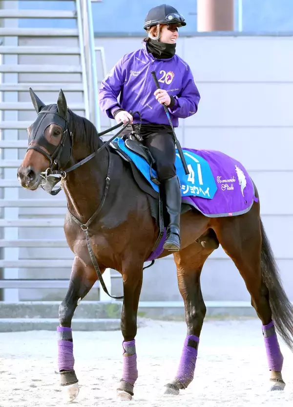 【アメリカＪＣＣ】「今までで一番の返し馬」成長したショウヘイが完勝　川田将雅騎手も評価　今週も４歳世代Ｖ