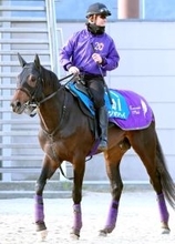 【アメリカＪＣＣ】また４歳世代！　ショウヘイが重賞２勝目　ダービー３着馬は９８年メジロブライト以来のＶ