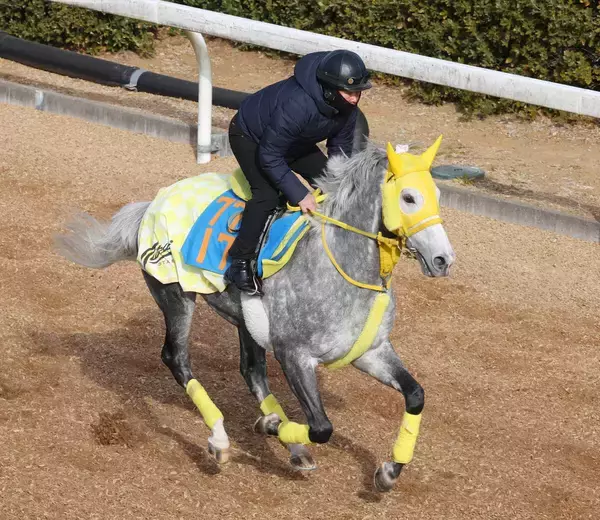 【中山記念】重賞初制覇がマイネル...高木登厩舎の礎となった勝負服のマイネルモーントが巻き返し狙う　