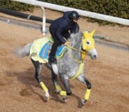 【中山記念】重賞初制覇がマイネル...高木登厩舎の礎となった勝負服のマイネルモーントが巻き返し狙う　