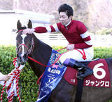 「藤田晋オーナーに重賞初タイトルもたらしたジャングロが７歳で引退　鹿児島県で種牡馬入りへ」の画像1