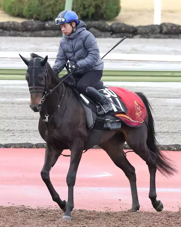【スプリングＳ】直線の短い中山向きの機動力が魅力!アスクエジンバラ、賞金を加算し皐月賞からダービーへ
