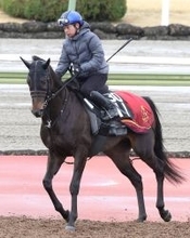 【スプリングＳ】直線の短い中山向きの機動力が魅力!アスクエジンバラ、賞金を加算し皐月賞からダービーへ